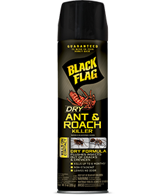 Dry Ant & Roach Killer (Aerosol)